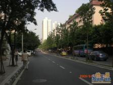 金山路158号 4室1厅 东南