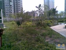 南坪东路 五月花房二房59万