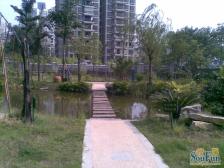 南坪东路 五月花房二房82万