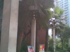 南坪东路 阳光社区一房36万