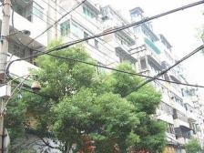 房东诚心出售,品质楼盘,楼层好,看中价格有谈