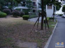 阳光名苑 1室2厅 南 西