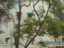 中山公园内环内边套全明两房中间楼层满五为一