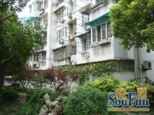 99年小区 采光好送天井 3米交通 3米商城