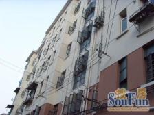 内环边两房 比邻黄浦江 花园位置 配套成熟 近地铁