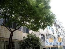 新华花苑4室南朝向1399.00万元/套出售