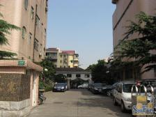 怡甸公寓 2室2厅 东南 南