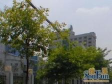 优质户型,大平层,电梯中区,地铁10号线