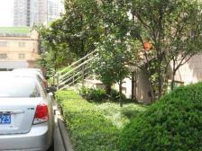 曹家渡·怡甸公寓·3室·2厅