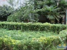 满五年,唯①,高区看三件套,南北通3房2厅,商品房