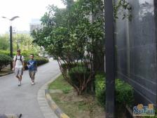 双南两房,景观好,满五维一,有钥匙,出价来谈