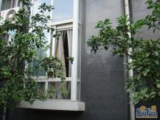 城市别墅体验,空间感拉满,挑高5米客厅,可三代同堂