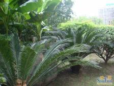 江湾 · 三湘花园 · 3室 · 2厅