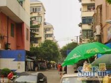洋泾·博山小区-博山路78弄·1室·1厅
