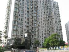 小区品质好,适宜居住环境,人车分离。