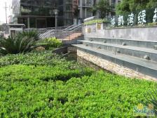 百年愚园路,地段好,出门即是老上海梧桐树,腔调十足