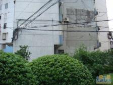 龙之梦旁新上三房,三开间朝南,小区靶心位置方便看房