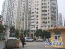 内环内 次顶楼 凤凰层 对愚一