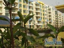 现代康桥百舸馨苑2室南朝向555.00万元/套出售