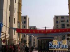 百舸馨苑 精装两房 南北朝向 通风采光好