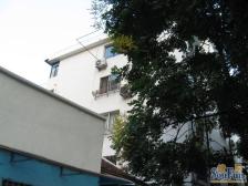 94年房龄+一梯两户+ 南北通 精装修 看房方便 诚意出售