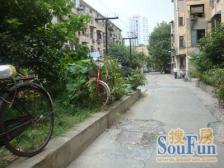 向阳朝南精装一房+中间楼层+视野采光好+小区安静整洁