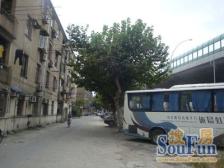 向阳朝南精装一房+中间楼层+视野采光好+小区安静整洁