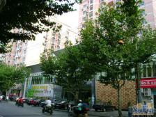 近地铁 中间楼层,电梯房 新上房源