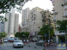 新鑫公寓3室南朝向800.00万元/套出售