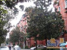 田林九村 3室2厅 南 北