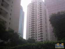 陆家嘴烫金地段,近地铁 产权清晰 电梯房,新上房源