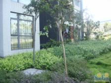 农业园区 巴山夜雨三房82万