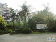 采光充足,户型方正,交通便利,配套齐全位置安静