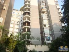 农业园区 巴山夜雨三房84万