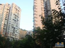 回兴 奔力乡间城二房60万