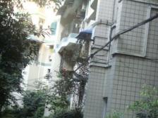 成熟小区 绿化环境好 生活出行方便 清水两房