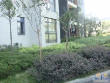 国雅·彩云间 4室1厅 东南