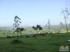 回兴 国雅彩云间四房198万