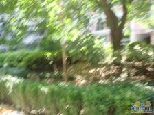 海德小区全新装修精装大4房 带电梯 直接拎包住