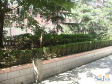 电梯三室 朝小区中庭 价格便宜