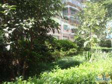 电梯精装四房 出行方便 采光视野好