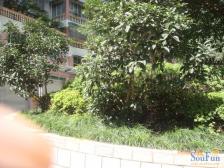 海德小区全新装修精装大4房 带电梯 直接拎包住