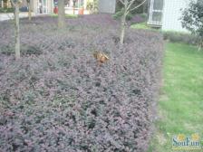 回兴 金易华苑A区二房36万