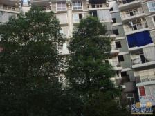 正两房!装修很好,拎包入住.低楼层....