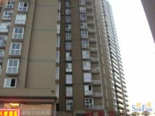 走过路过不要放过、这个房子低于拍拍房、别说业主好诚心