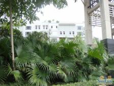 水木青华 5室2厅 南