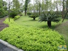 小小岛 8室3厅 西南