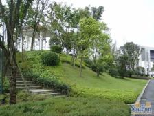 精装大三房 可拎包入住 湖景房