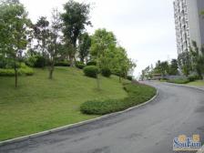 小小岛 8室3厅 西南