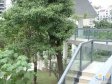 回兴精装楼梯三房带80平屋顶花园